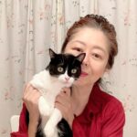 猫ホメオパス湘南